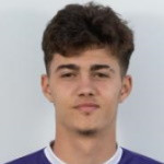 Jovan Mituljikic