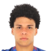 Emerson Urso