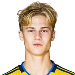 صورة Theo Bergvall